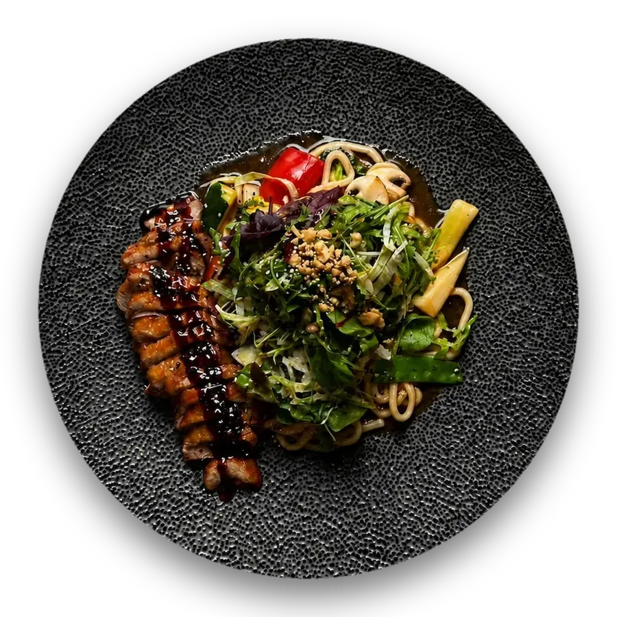 Takashi Udon mit Ente